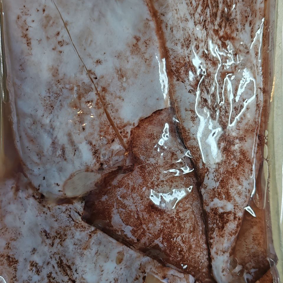 Кальмары в упаковке