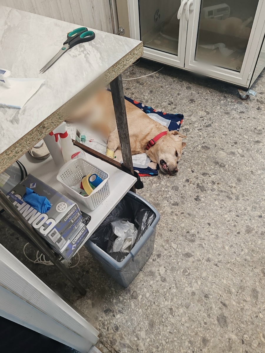    Подслушано у водителей Птз и Карелии