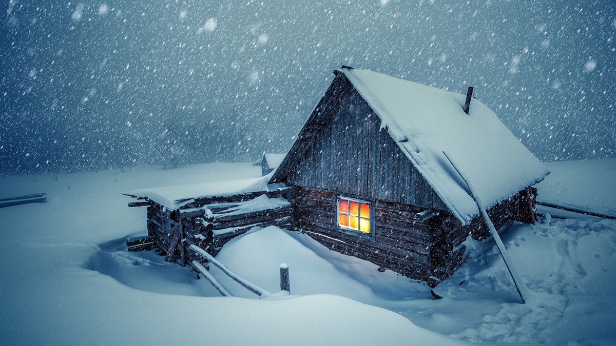 Фото Яндекс.