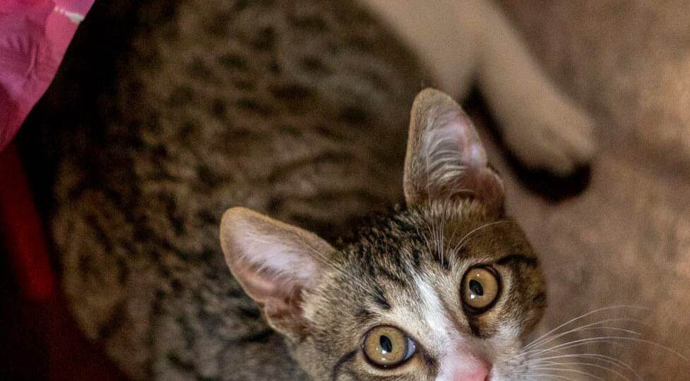 ❗ДОМА❗«А сегодня за мной придёт Мама?» - спрашивает Сеня.