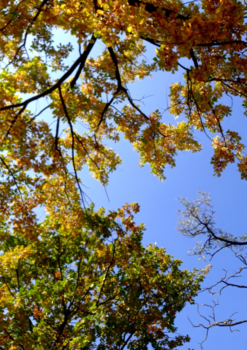 фотография автора