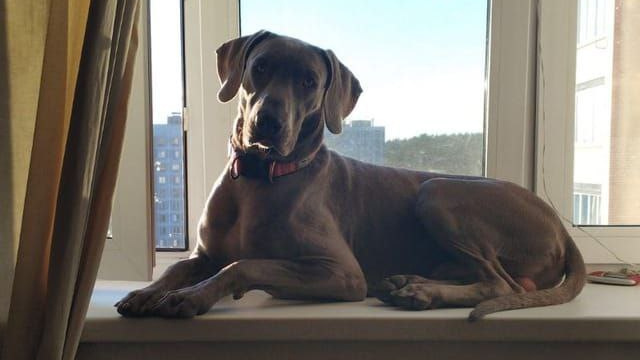    Фото: канал "Гилай Алекс"