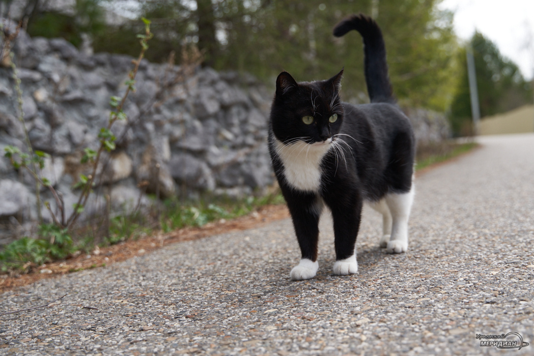    Фото: Лидия Аникина © ИА "Уральский меридиан"