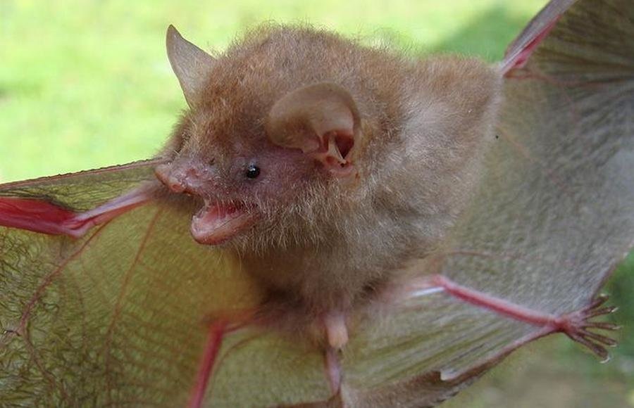    Фото: Дж. Седлок