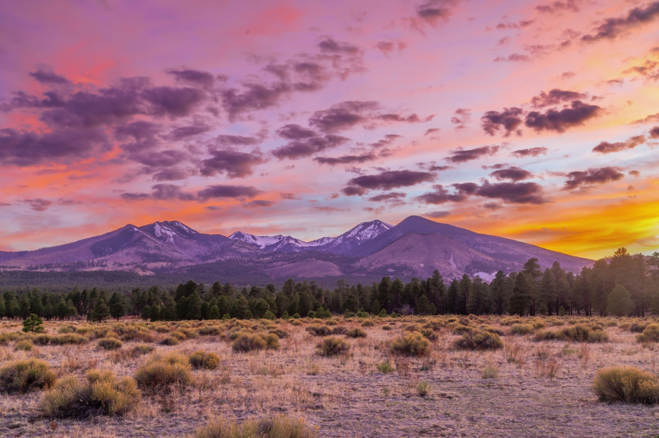    Shutterstock/FOTODOM