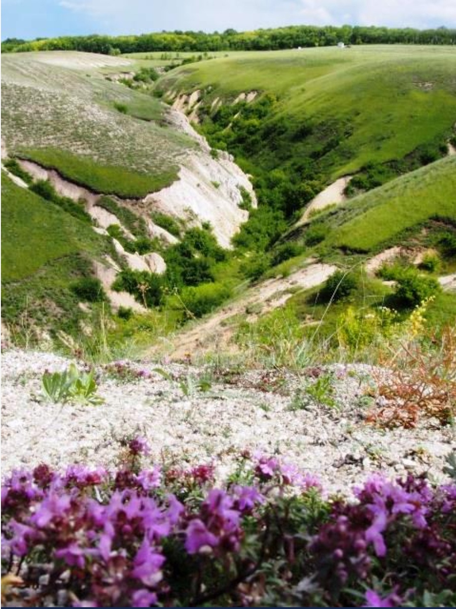 Дивногорье