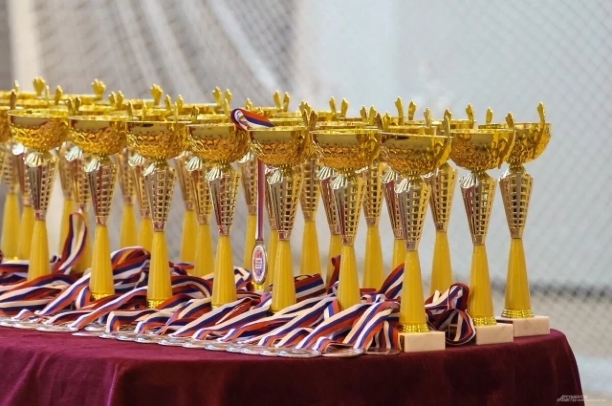    Более 300 юных спортсменов Ямала приняли участие в мастер-классах по ММА