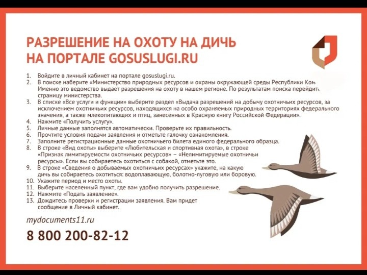 Фото из интернета.