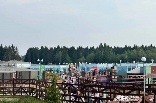    Фото: АиФ/ Александр Тепикин