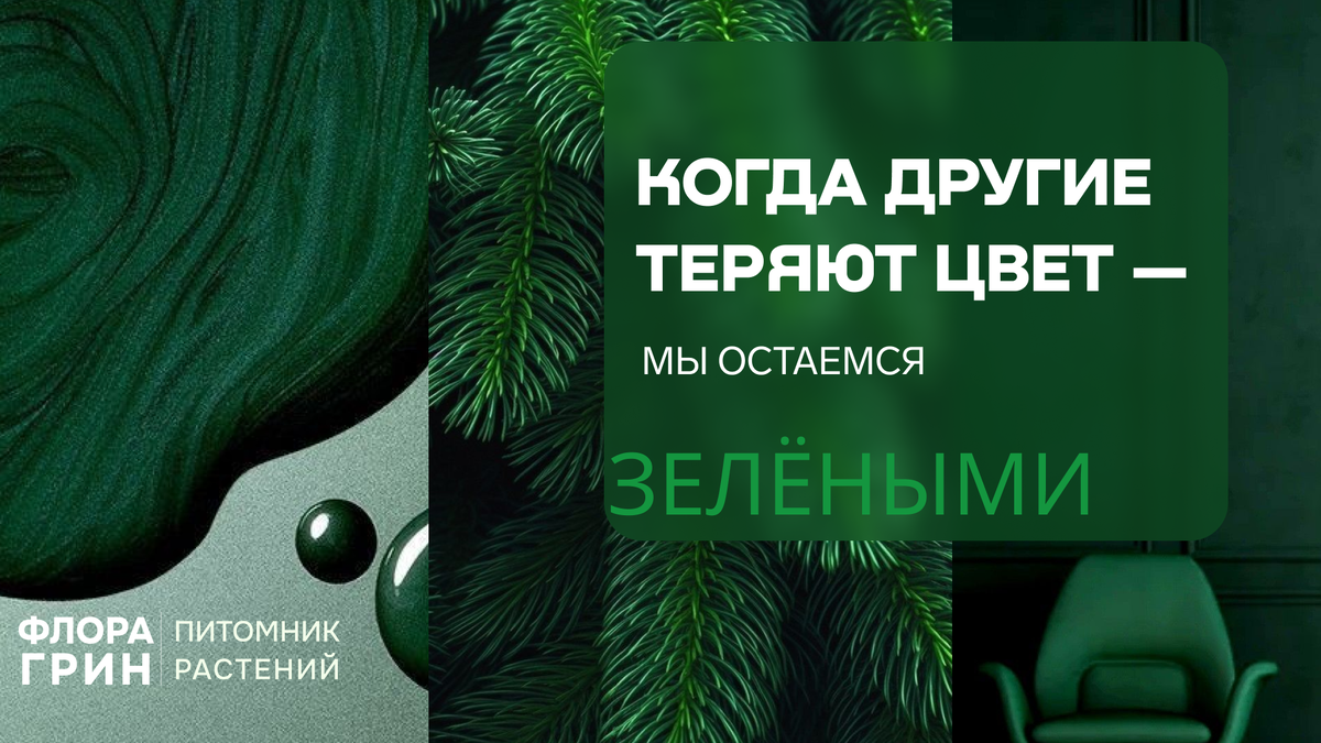 Питомник растений Флора Грин