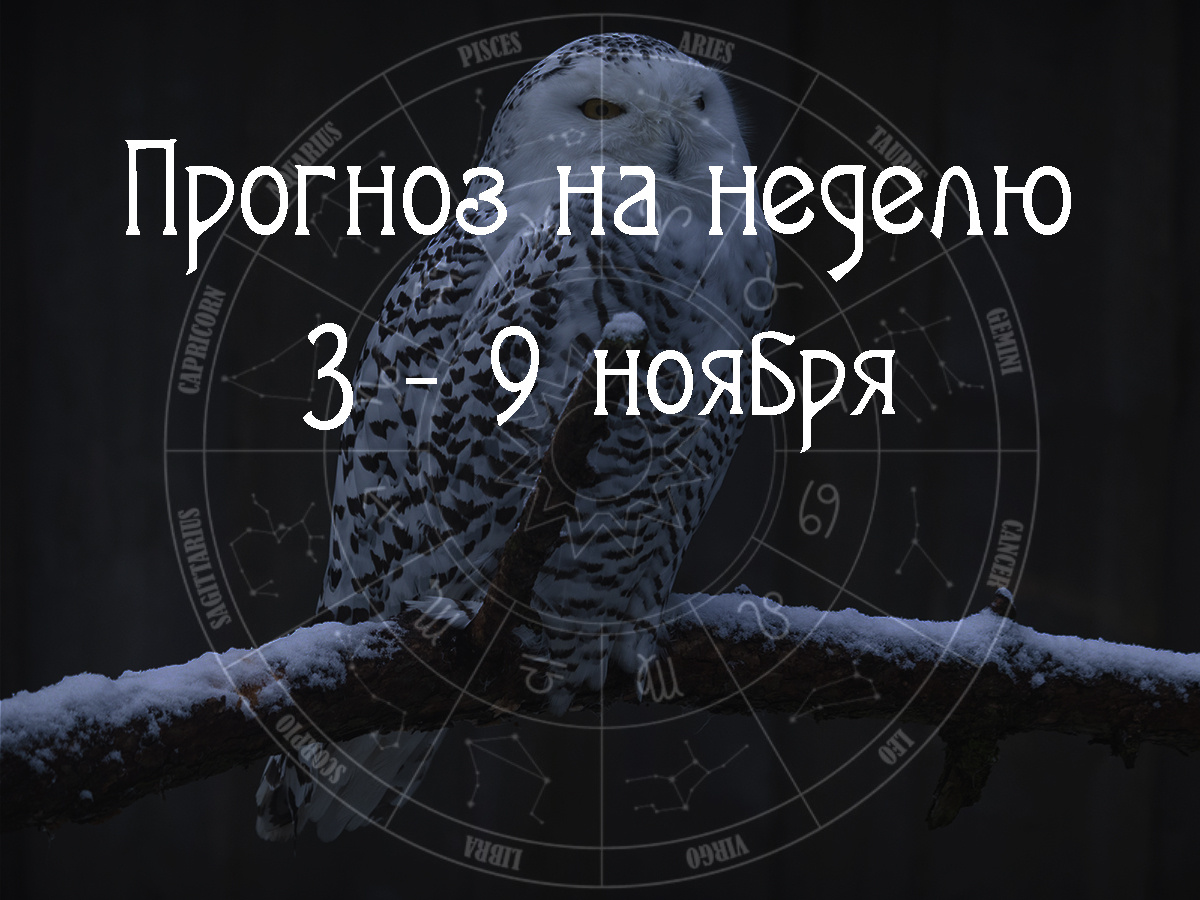Астрологический прогноз на 3 – 9 ноября 2025 года