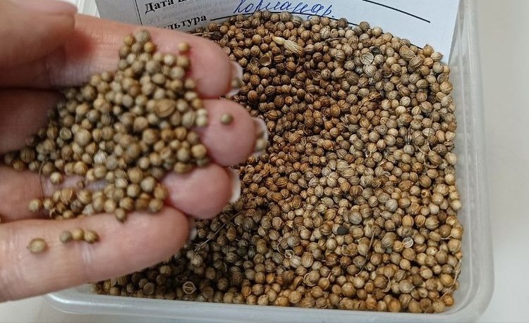    Фото: ФГБУ ЦОК АПК