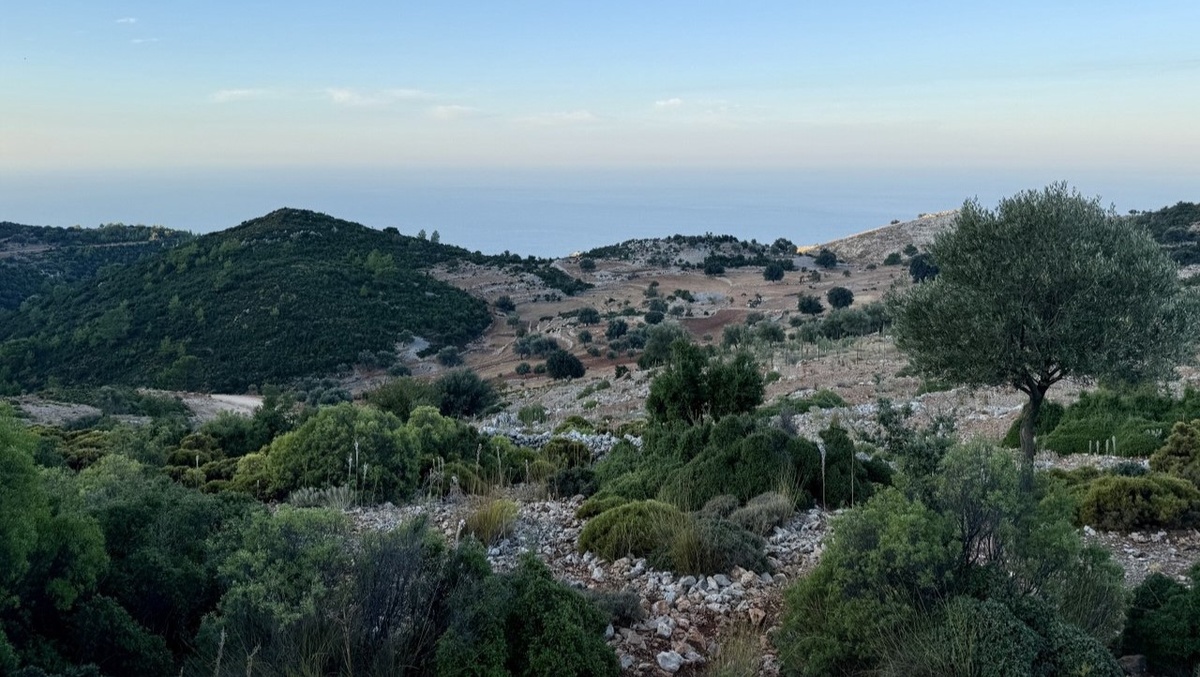 В поисках тропы