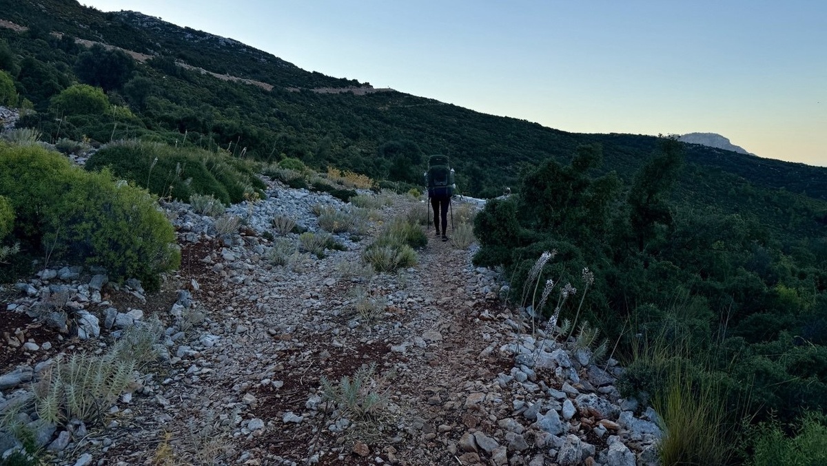 В поисках тропы