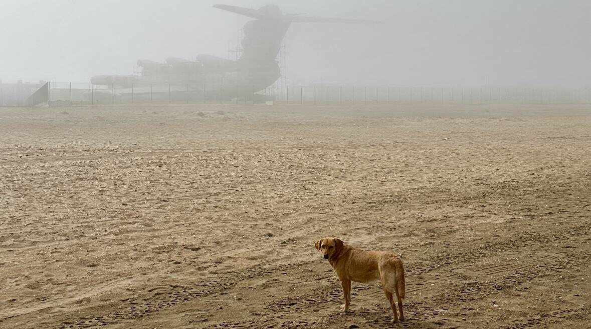 Где то там в тумане экраноплан Лунь и местная собачка