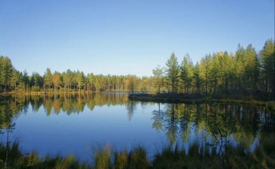 Типичная карельская ламбушка