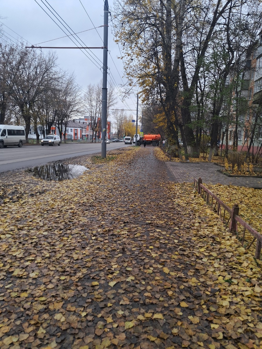 Осень в городе