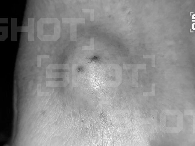    Фото: телеграм-канал SHOT