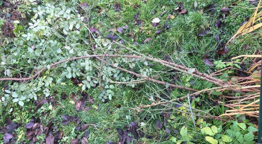 Шраб уложен и готов к укрытию