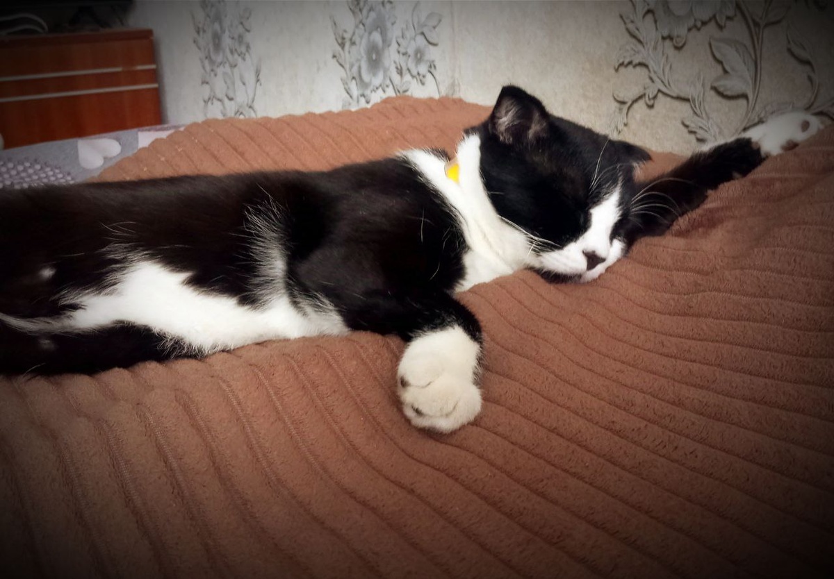 Фото: Виолетта Гавриленко.