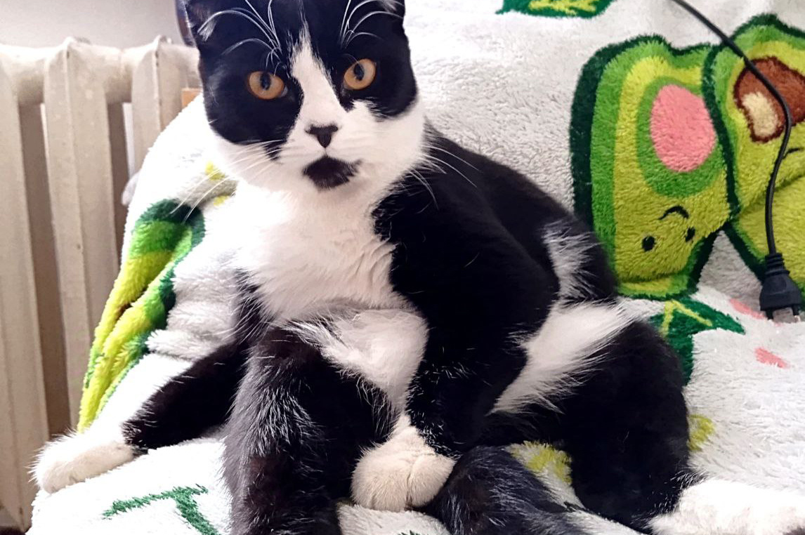 Фото: Виолетта Гавриленко.