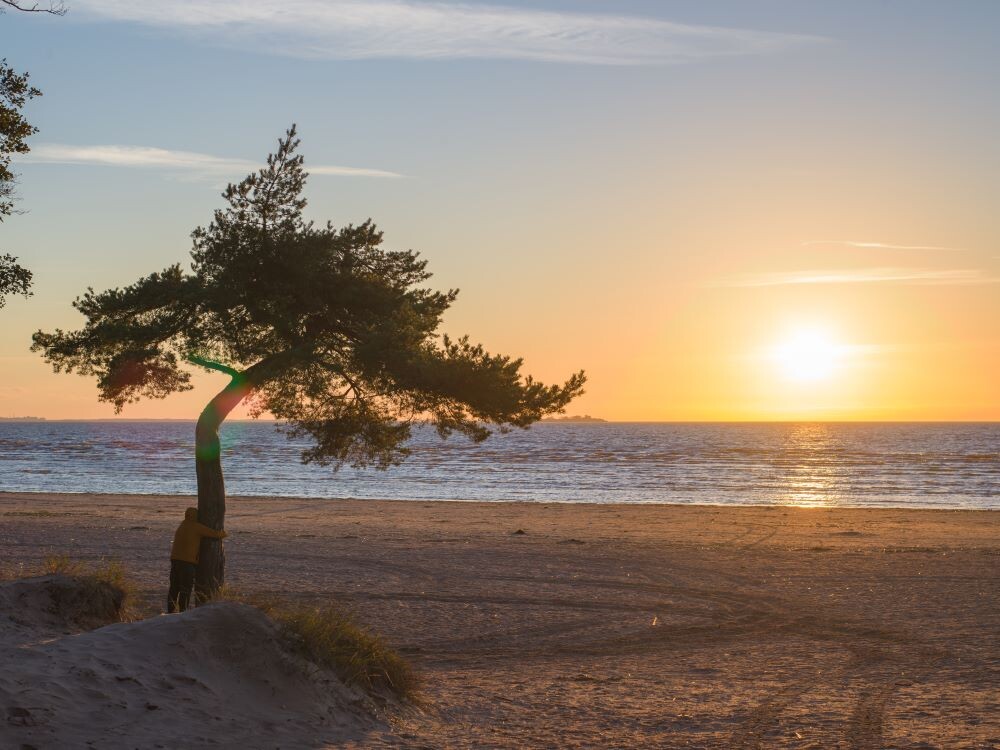 Финский залив