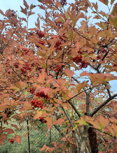 Фото Полины СЕМЕНЧЕНКО