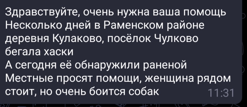 В галерее не самые риятные фото, смотрим аккуратно.