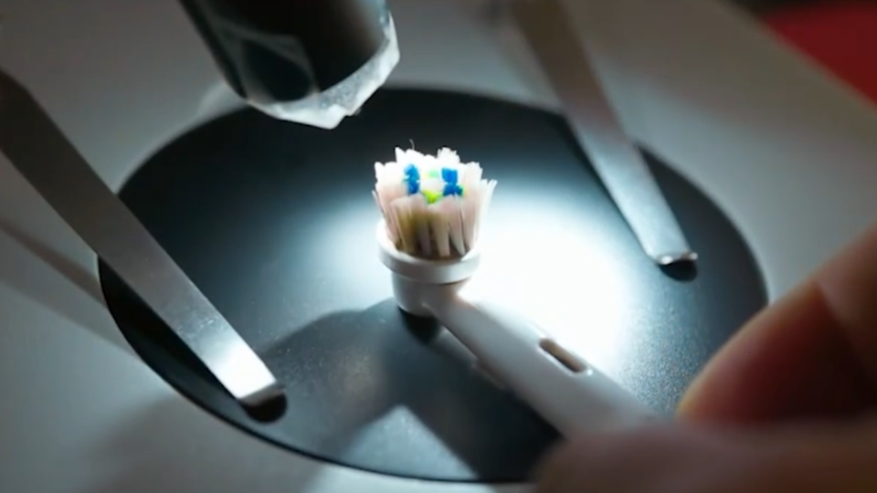 Фото: © Кадр из программы "Как устроен мир", РЕН ТВ /