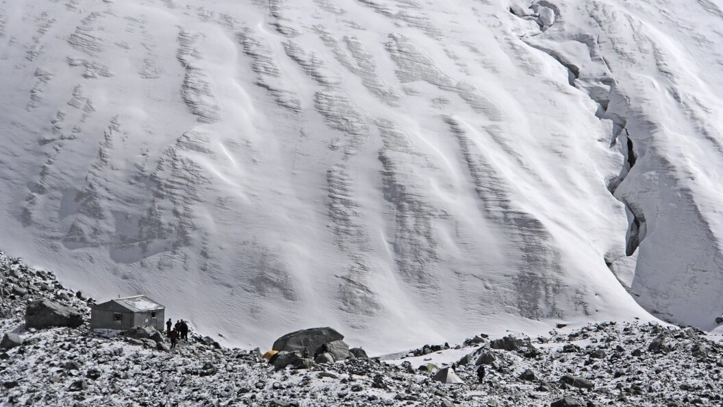    Фото: Serguei Fomine/Russian Look/Globallookpress