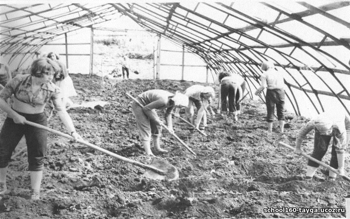 Юные натуралисты в школьной теплице. Фото с сайта школы.