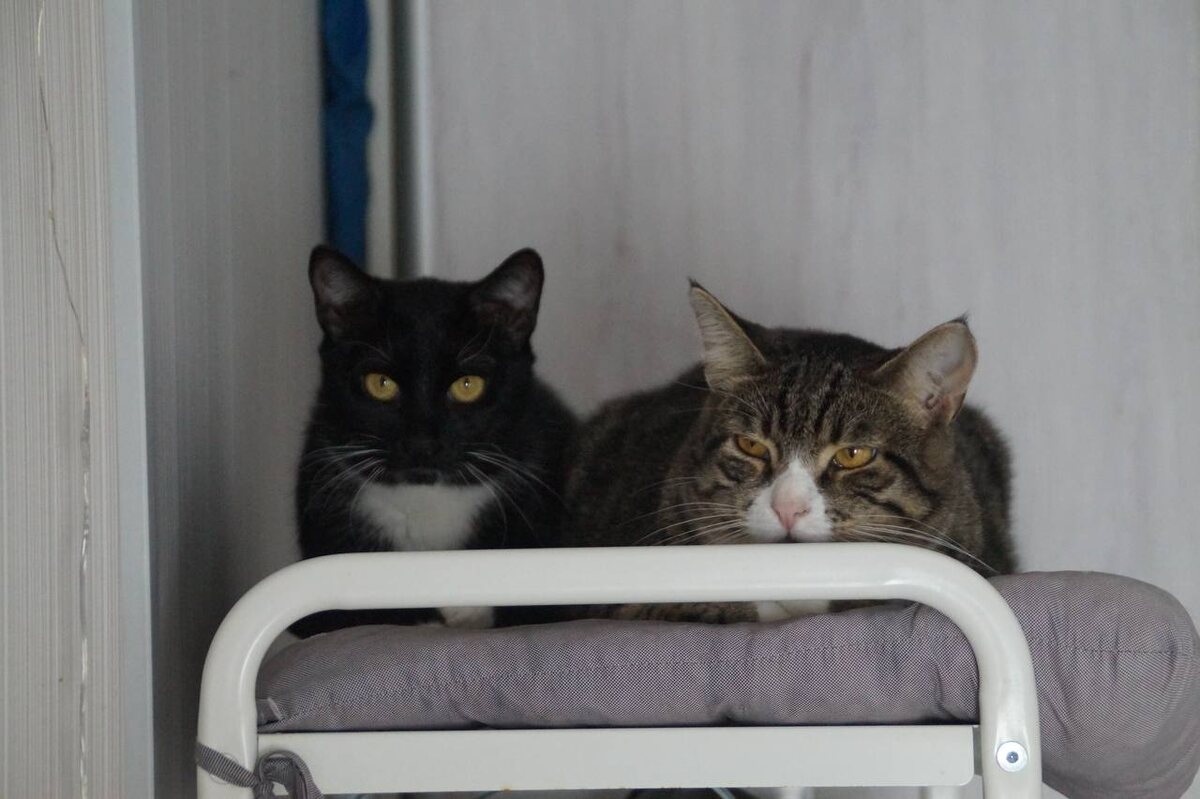 Март уехал домой, а я осталась