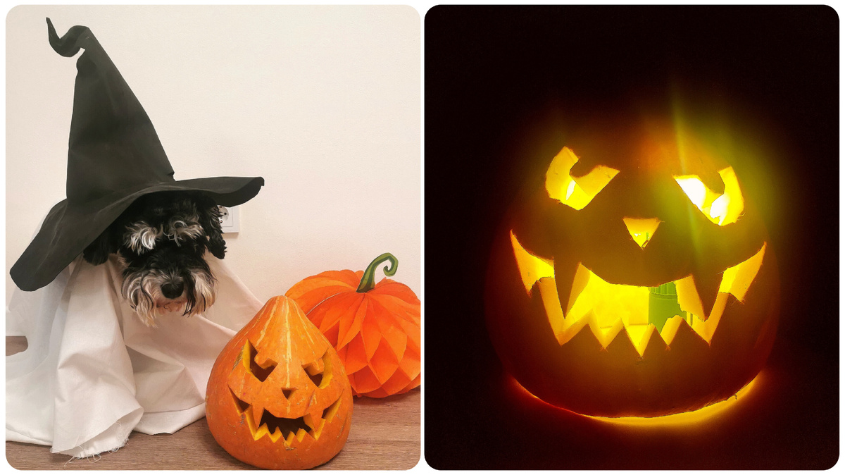 Наше "вчера" 