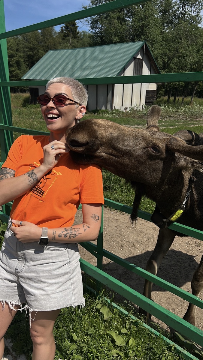 Кострома, лосиная ферма