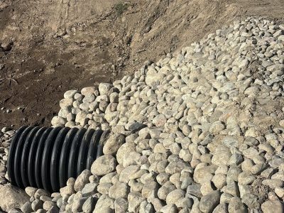    Фото: Управление пресс-службы Главы Карелии