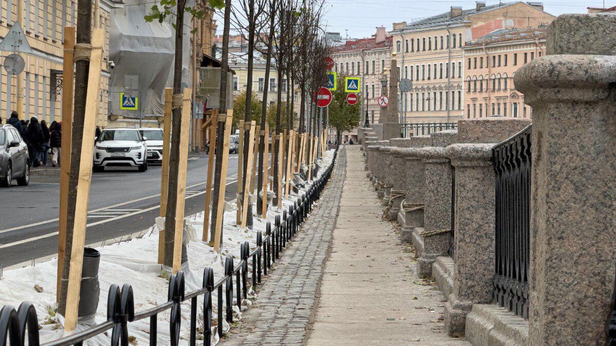    Фото: t.me/mostotrest_spb