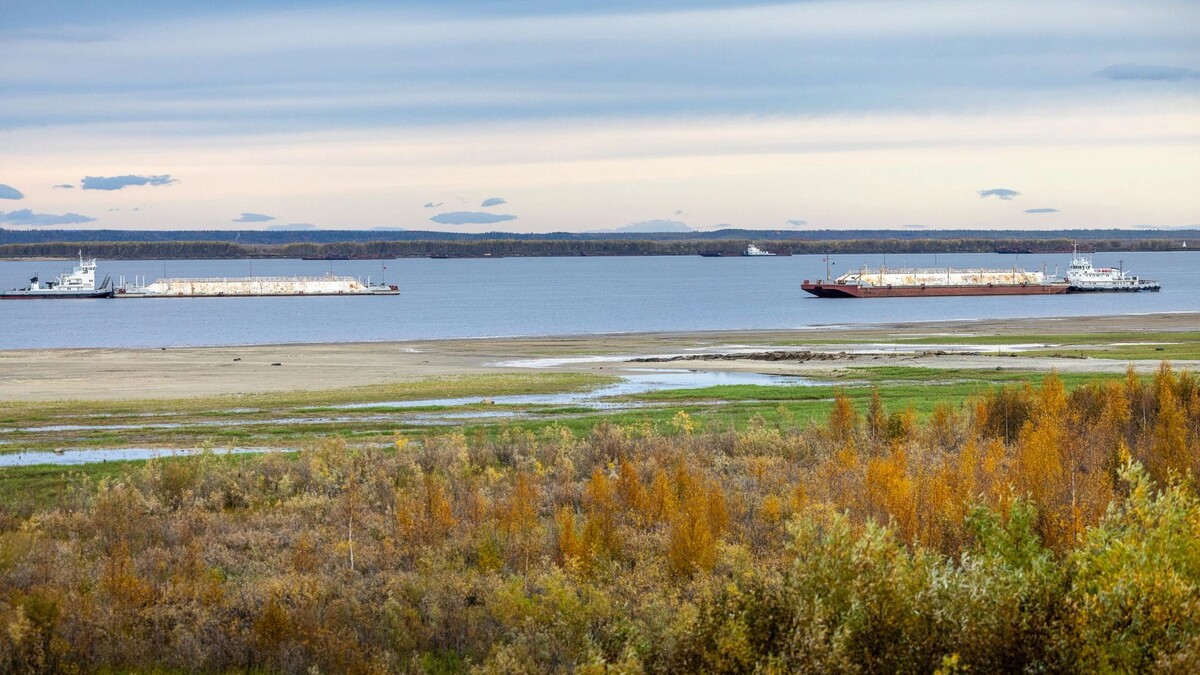    Фото: Федор Воронов/«Ямал-Медиа»
