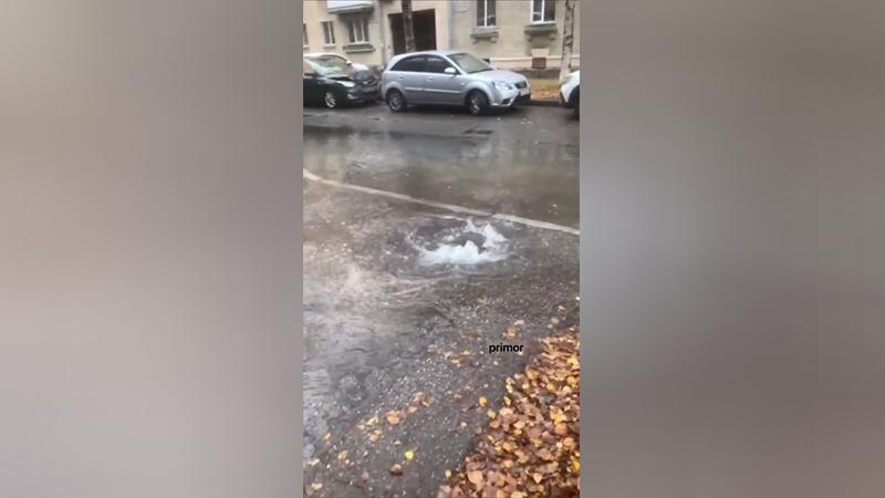    Фото: t.me/primor_online