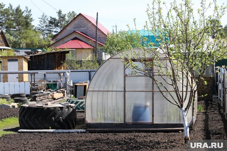    Жидкие удобрения лучше убрать из летних теплиц