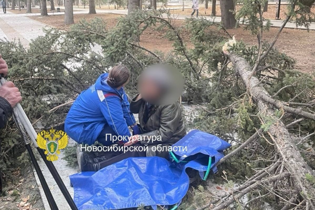    Фото: прокуратура НСО