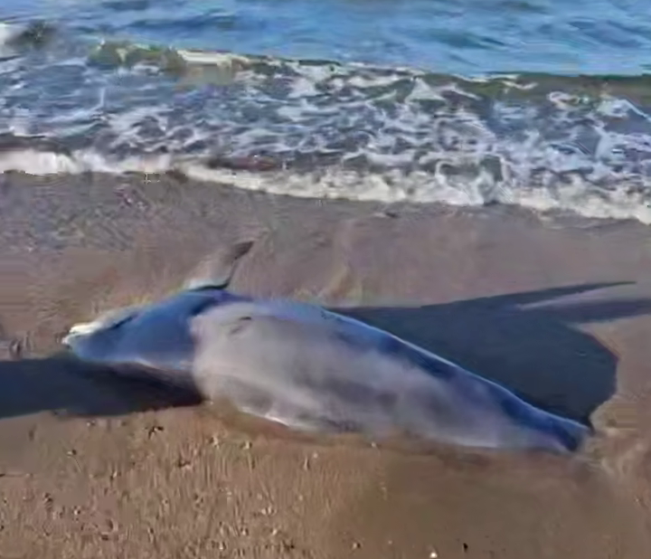    Фото: соцсети