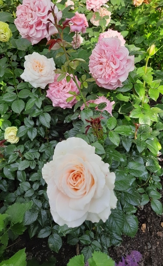 фото Татьяны