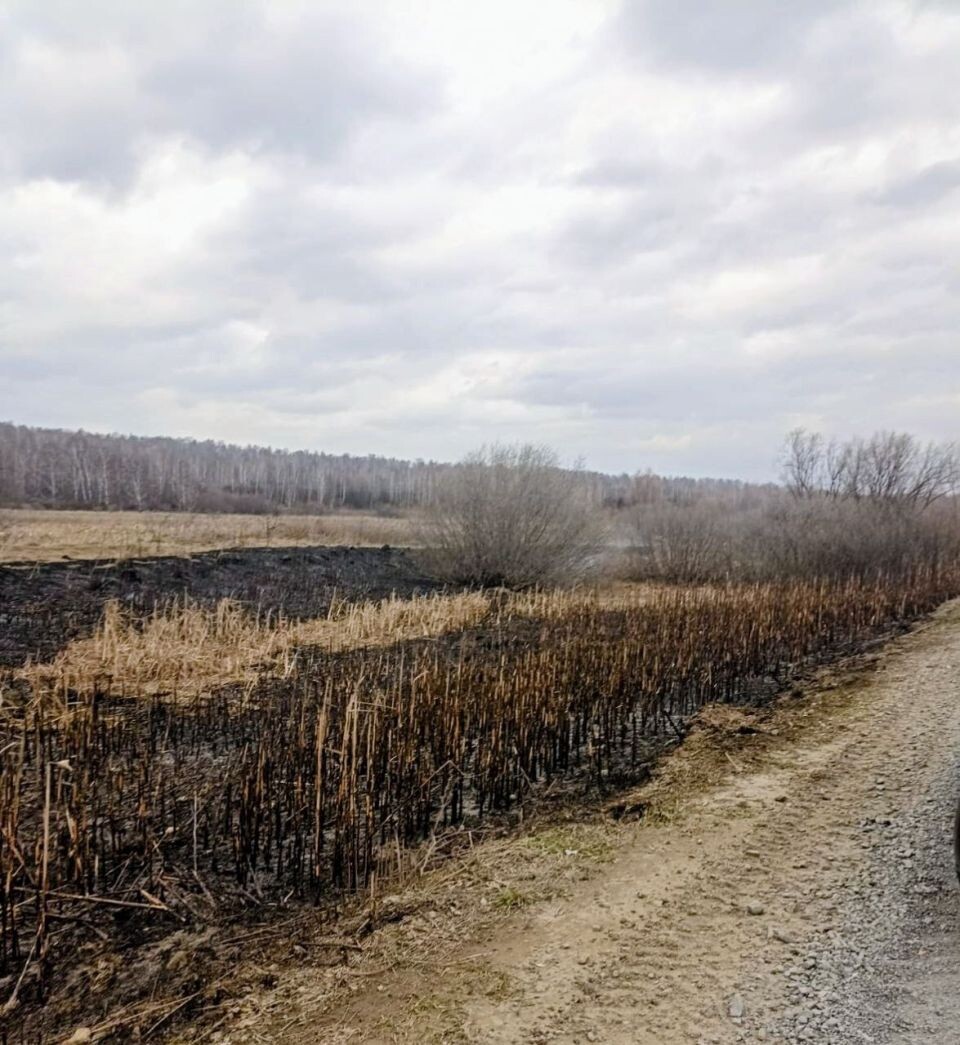    Пожар в Залесовском округе. Источник: t.me/aleksandr_plasteev