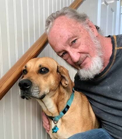 фотография в свободном доступе