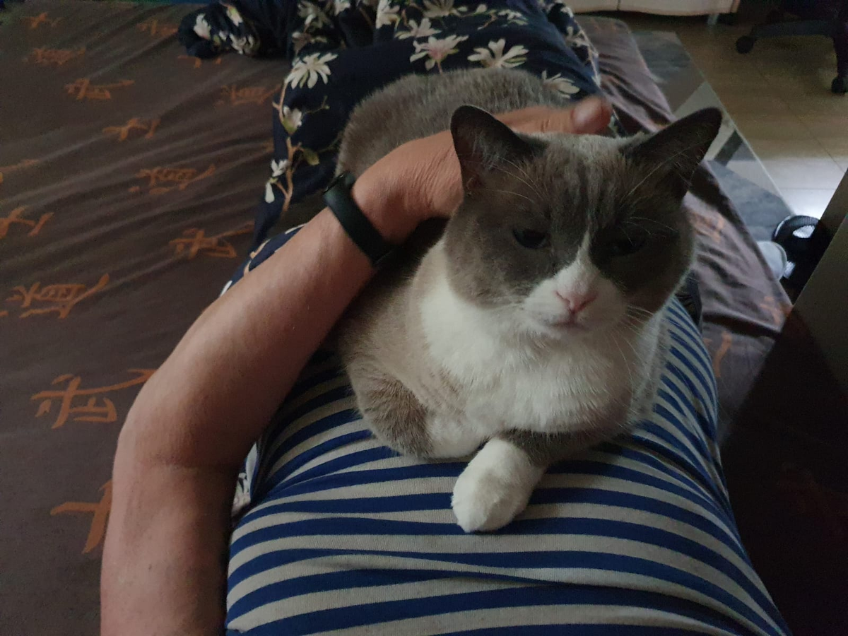 Живой будильник - Мотька-обормотька.