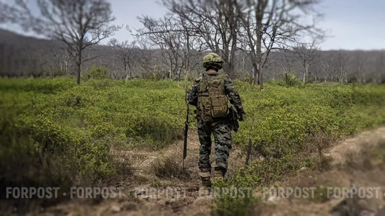 Новая мера должна обеспечить дополнительную поддержку ветеранам
Фото:
Арина Розанова / Freepik / ForPost