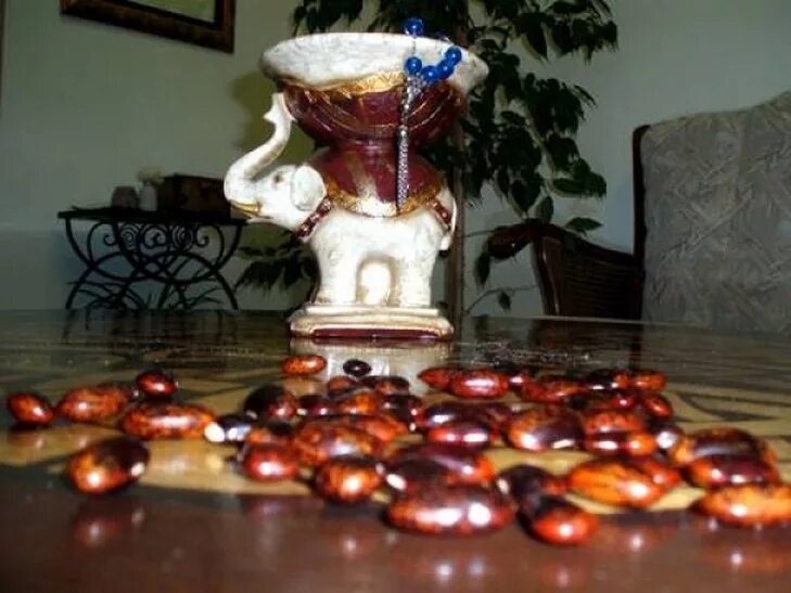 Гадание на бобах