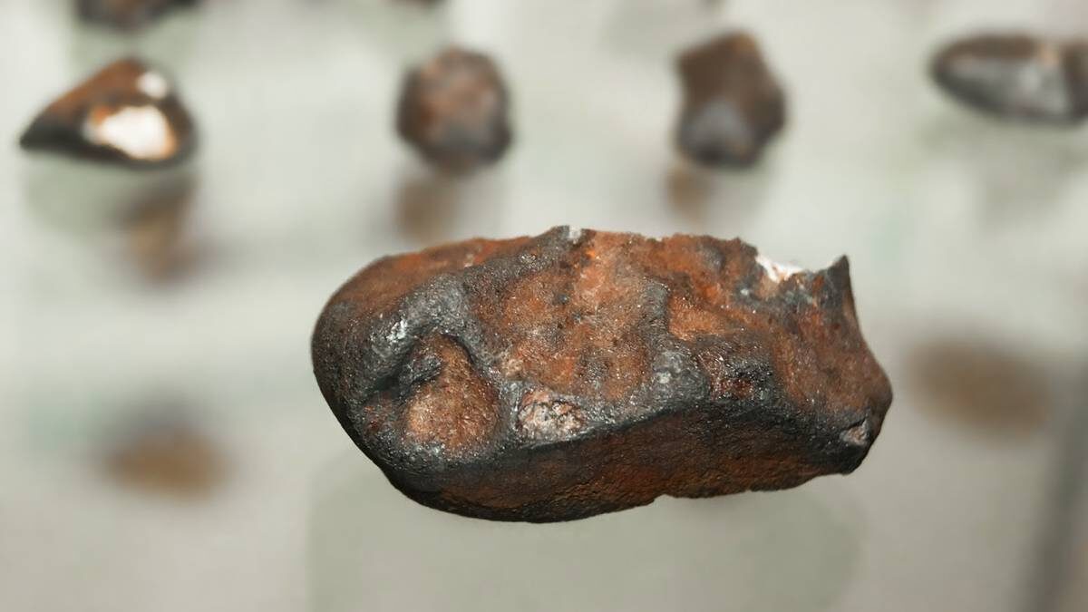    Фото: Shutterstock