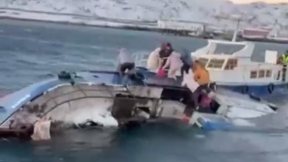    Фото: Скриншот / 360.ru / Telegram