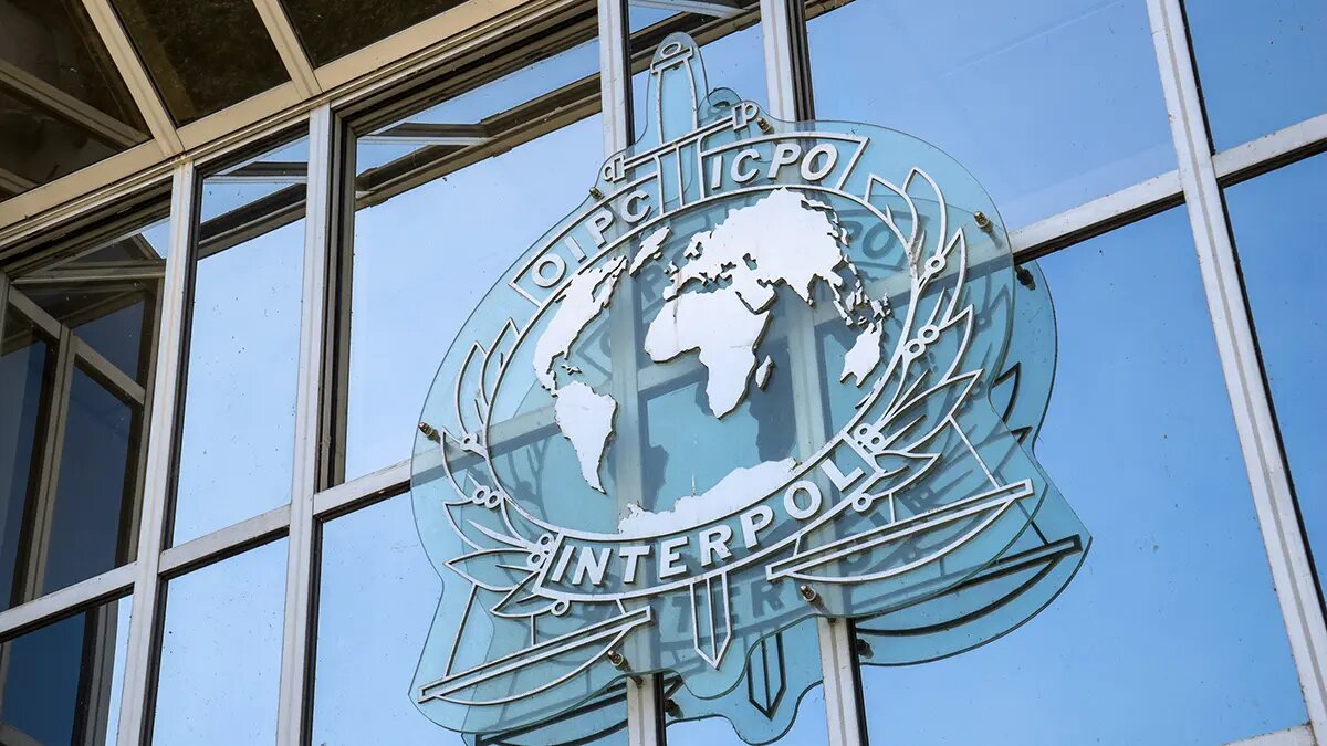    Фото: vm.ru Олеся Шмелева